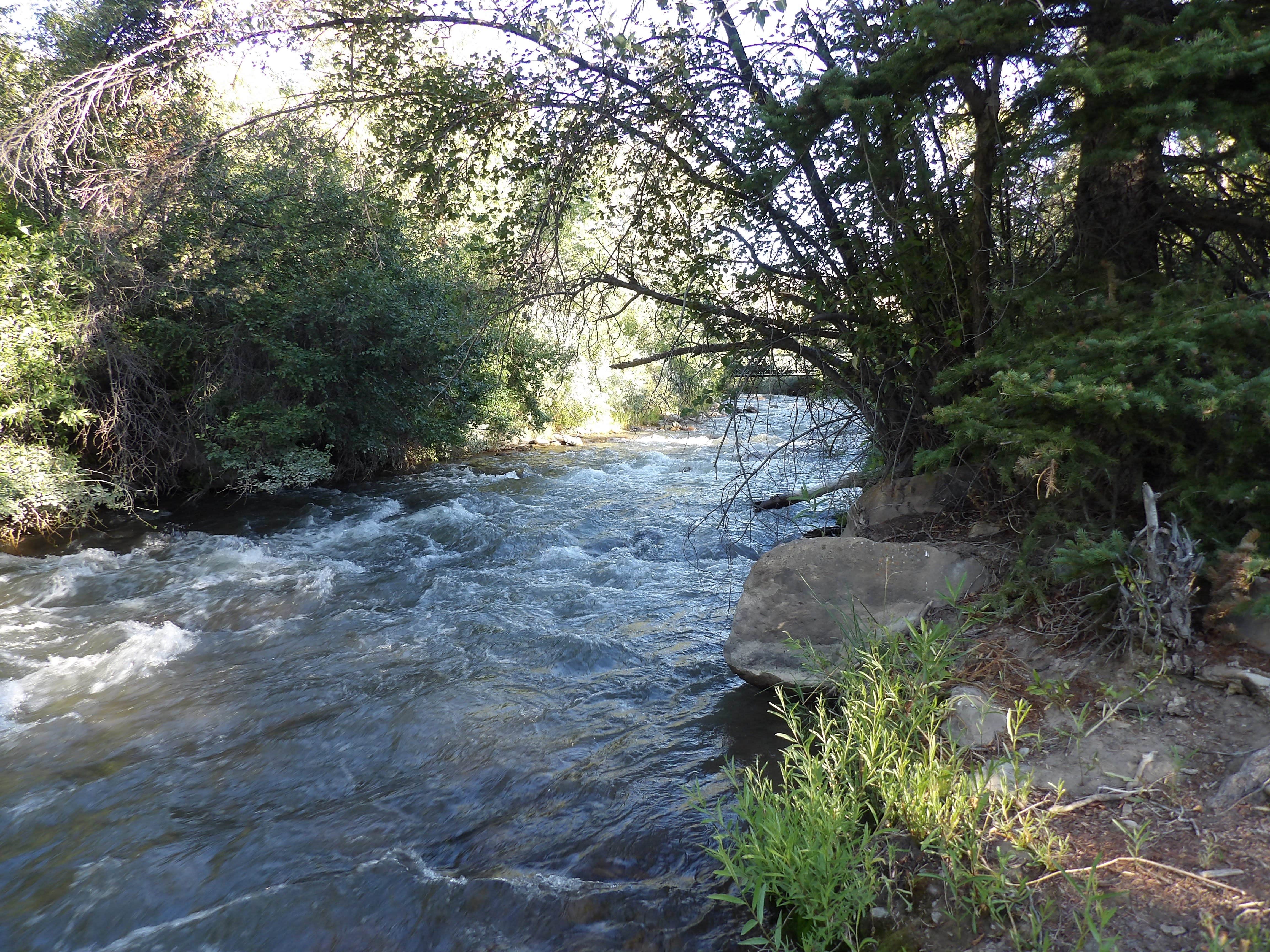 Camper-submitted photo at Bear Creek near Kenilworth, UT