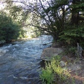Review photo of Bear Creek by Dave , July 22, 2021