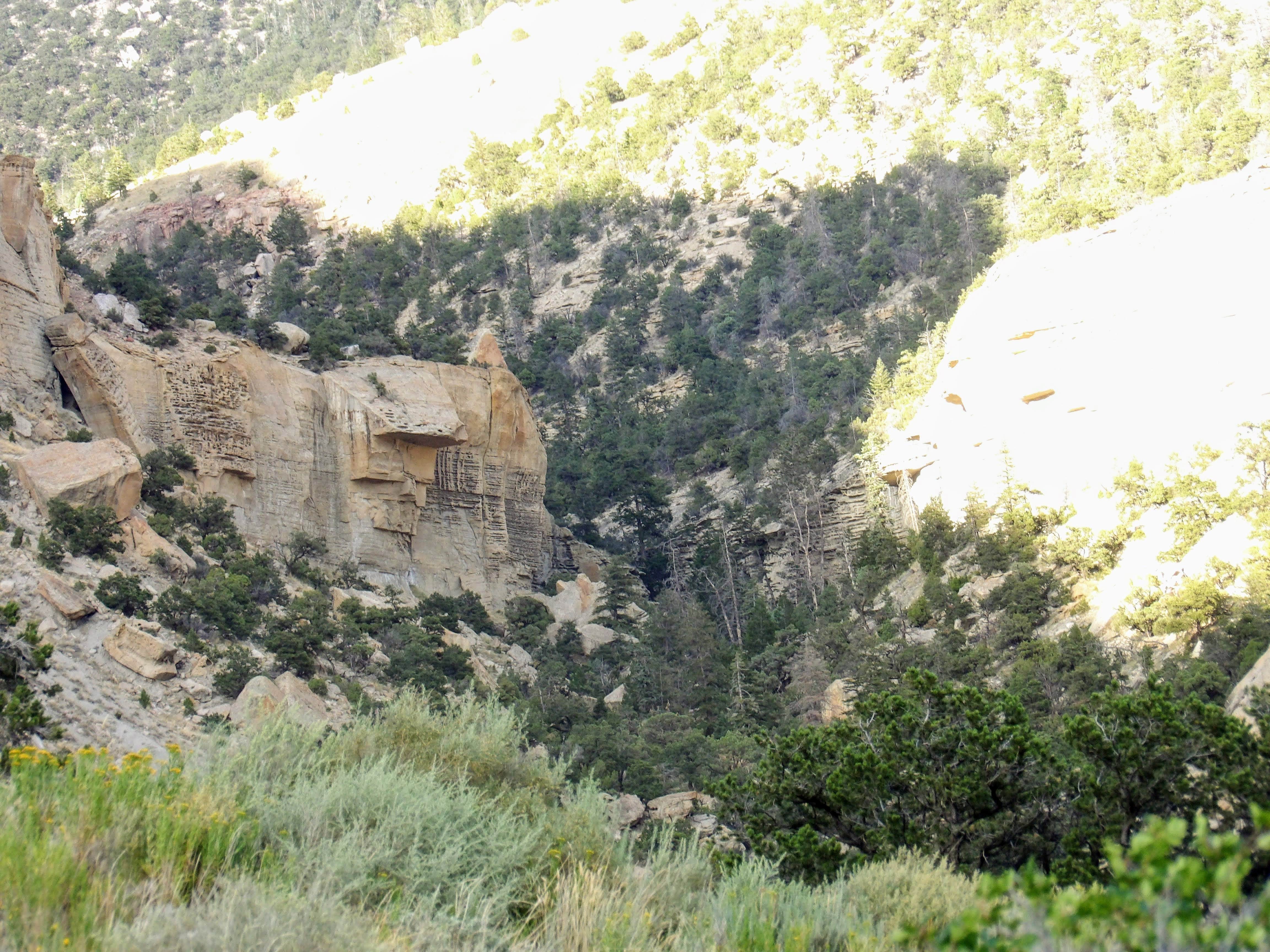 Camper-submitted photo at Bear Creek near Kenilworth, UT