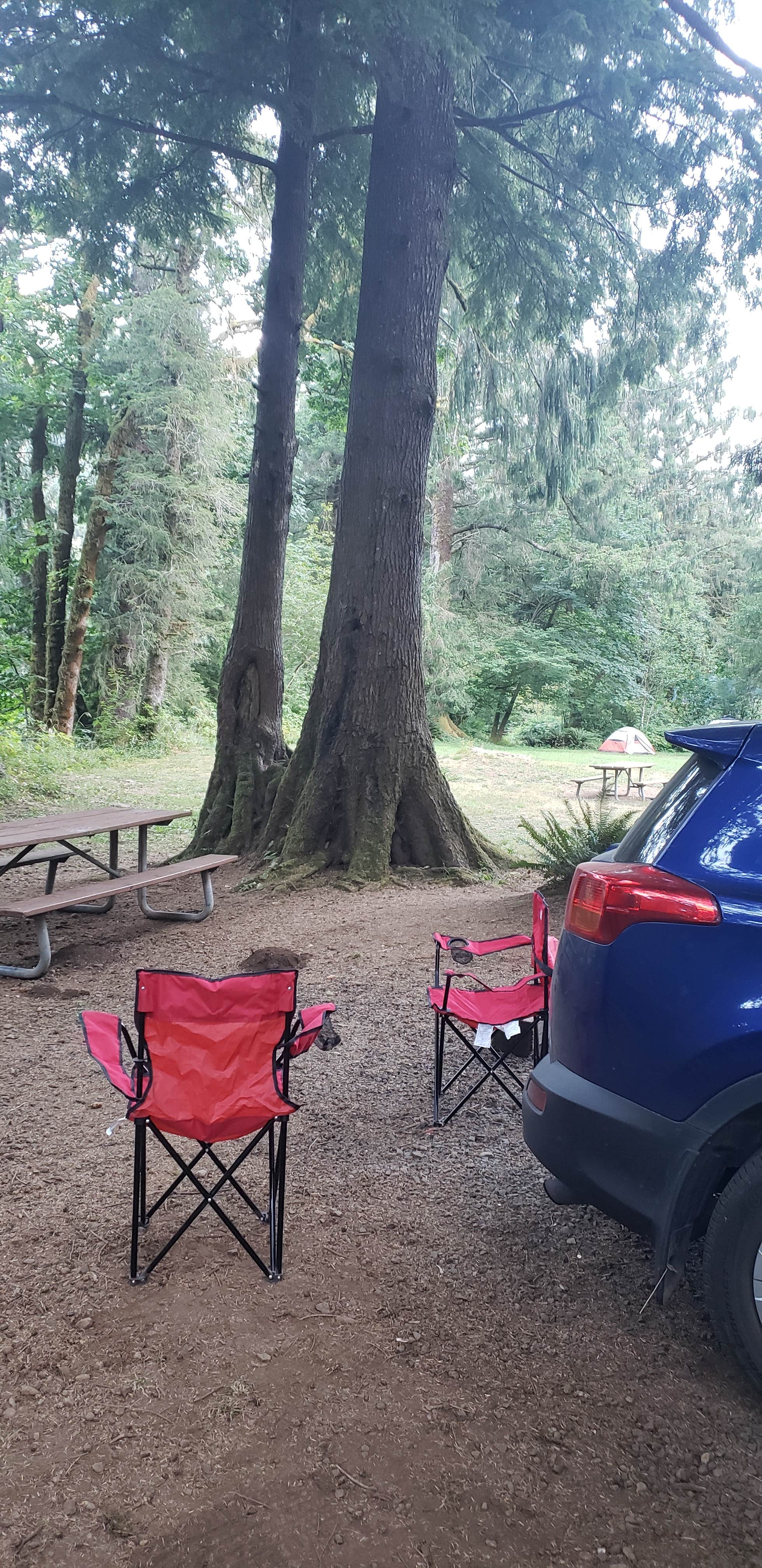 Caley M.'s photo at Kilchis Park near Tillamook State Forest