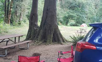 Caley M.'s photo at Kilchis Park near Tillamook State Forest