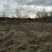 Review photo of Cedar Hill State Park Campground by Tori M., June 15, 2018