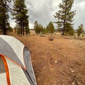 Review photo of Tom Best Spring Road FR117 Dispersed - Dixie National Forest by Gabby & Brian V., July 22, 2021