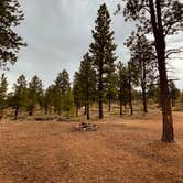 Review photo of Tom Best Spring Road FR117 Dispersed - Dixie National Forest by Gabby & Brian V., July 22, 2021