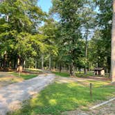 Review photo of Brick House Campground (Sc) — Francis Marion And Sumter National Forests by Thomas W., July 22, 2021