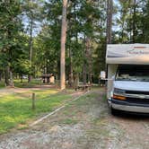 Review photo of Brick House Campground (Sc) — Francis Marion And Sumter National Forests by Thomas W., July 22, 2021