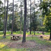 Review photo of Brick House Campground (Sc) — Francis Marion And Sumter National Forests by Thomas W., July 22, 2021