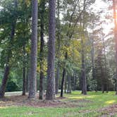 Review photo of Brick House Campground (Sc) — Francis Marion And Sumter National Forests by Thomas W., July 22, 2021