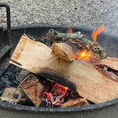 Review photo of Elkmont Campground — Great Smoky Mountains National Park by Thomas W., July 22, 2021