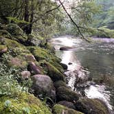 Review photo of Elkmont Campground — Great Smoky Mountains National Park by Thomas W., July 22, 2021