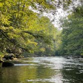 Review photo of Elkmont Campground — Great Smoky Mountains National Park by Thomas W., July 22, 2021