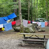 Review photo of Elkmont Campground — Great Smoky Mountains National Park by Thomas W., July 22, 2021