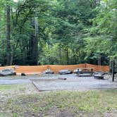Review photo of Elkmont Campground — Great Smoky Mountains National Park by Thomas W., July 22, 2021