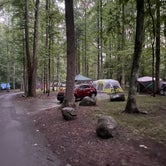 Review photo of Elkmont Campground — Great Smoky Mountains National Park by Thomas W., July 22, 2021