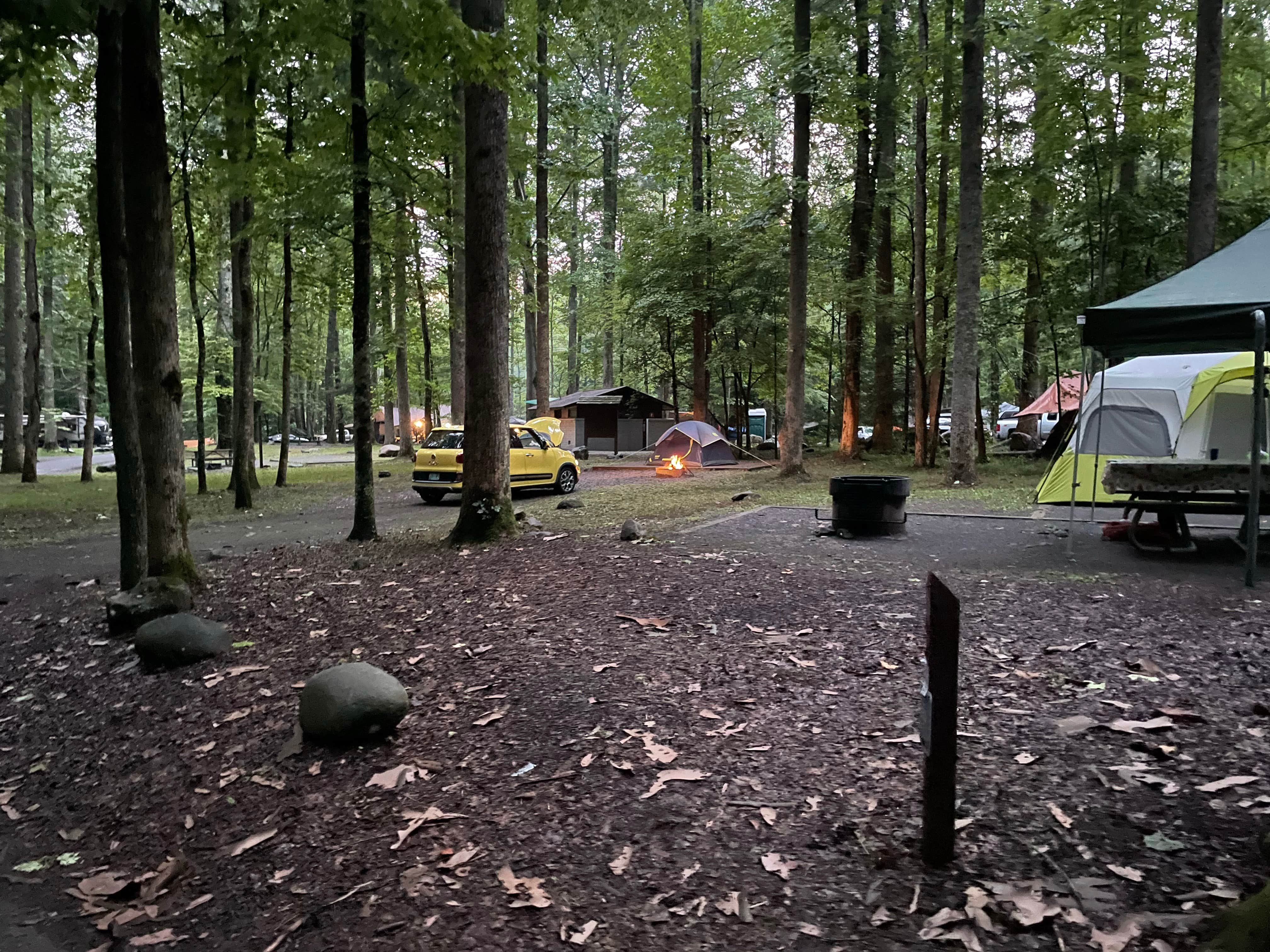 Thomas W.'s photo at Elkmont Campground — Great Smoky Mountains National Park near Gatlinburg, TN