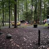 Review photo of Elkmont Campground — Great Smoky Mountains National Park by Thomas W., July 22, 2021