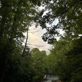 Review photo of Elkmont Campground — Great Smoky Mountains National Park by Thomas W., July 22, 2021
