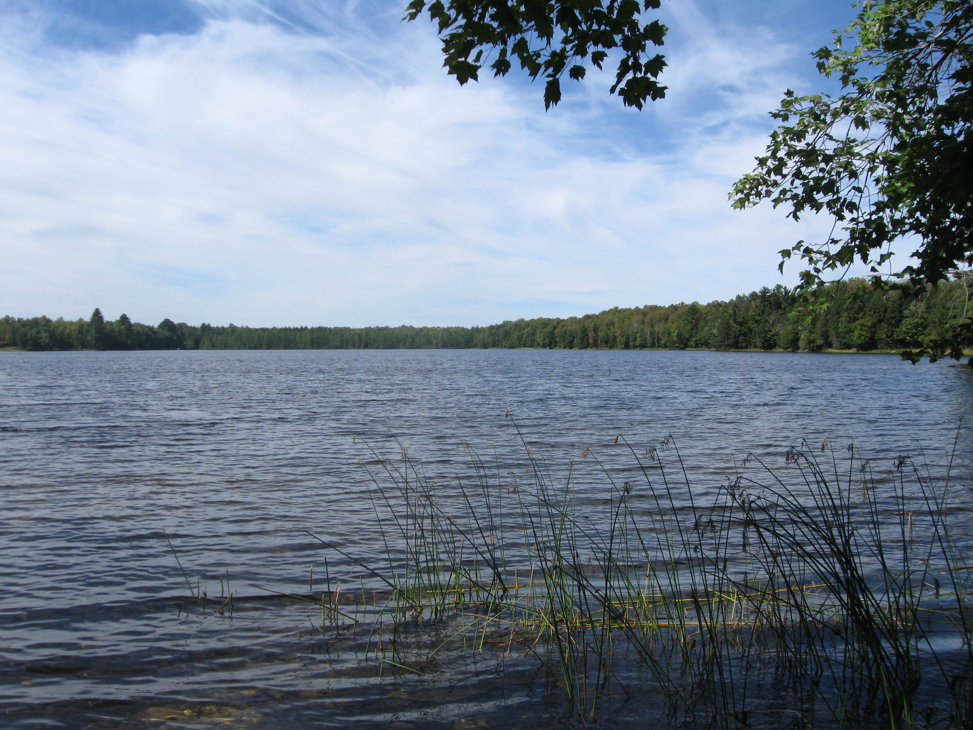 Camper-submitted photo at Langlade County Veterans Memorial Park near Merrill, WI