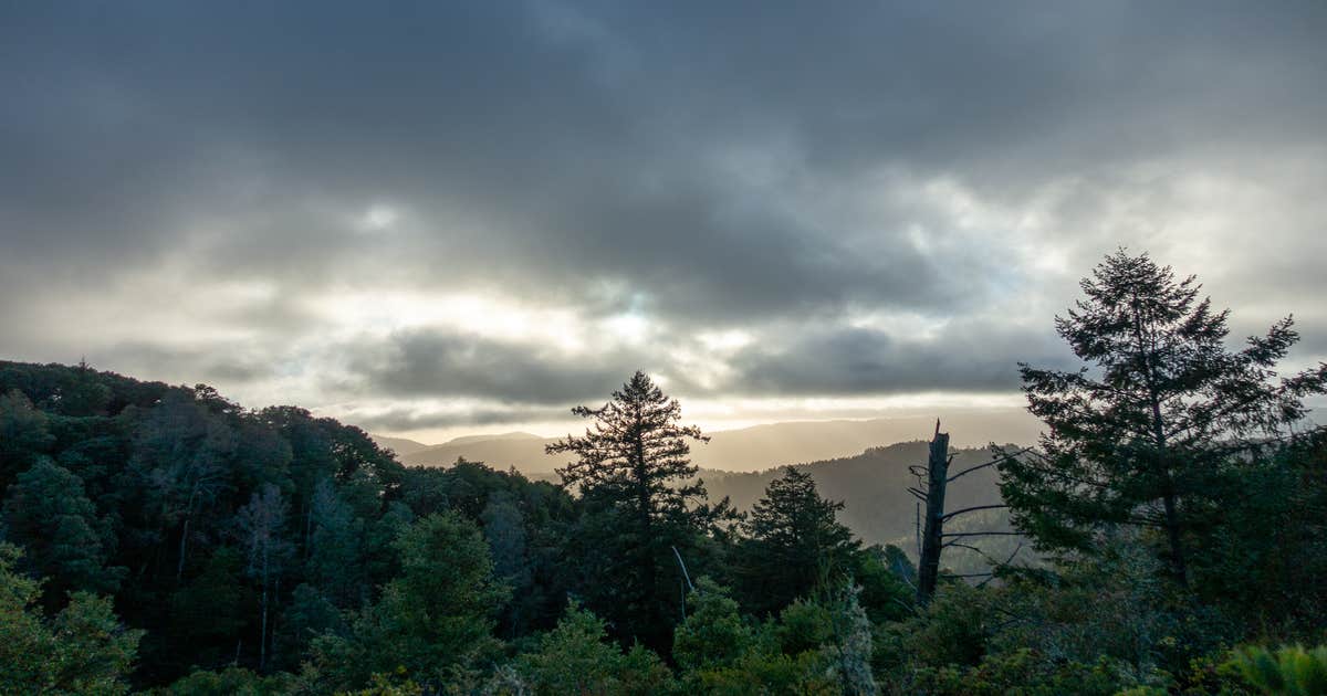 Castle Rock Trail Camp — Castle Rock State Park