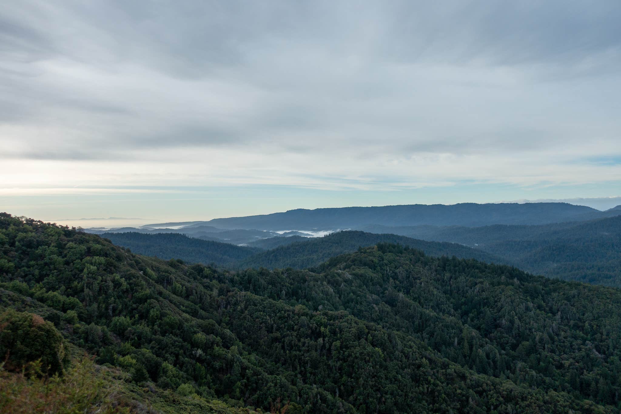 Camper-submitted photo at Castle Rock Trail Camp — Castle Rock State Park near Woodside, CA