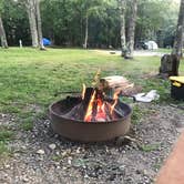 Review photo of Blackwater Falls State Park Campground by Grant M., July 22, 2021