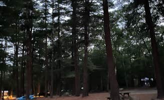 Mark M.'s photo at Burlingame State Park Campground near Slocum, RI