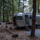 Review photo of Hendy Woods State Park Campground by Nathaniel S., July 23, 2021