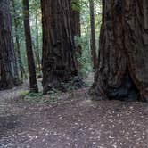 Review photo of Hendy Woods State Park Campground by Nathaniel S., July 23, 2021