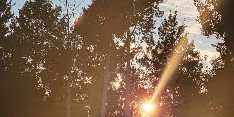 Camper submitted image from Yellowstone Golf Resort at Aspen Acres RV Park