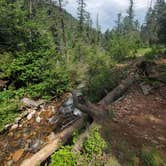 Review photo of Tolby Campground — Cimarron Canyon State Park by Tony M., July 23, 2021