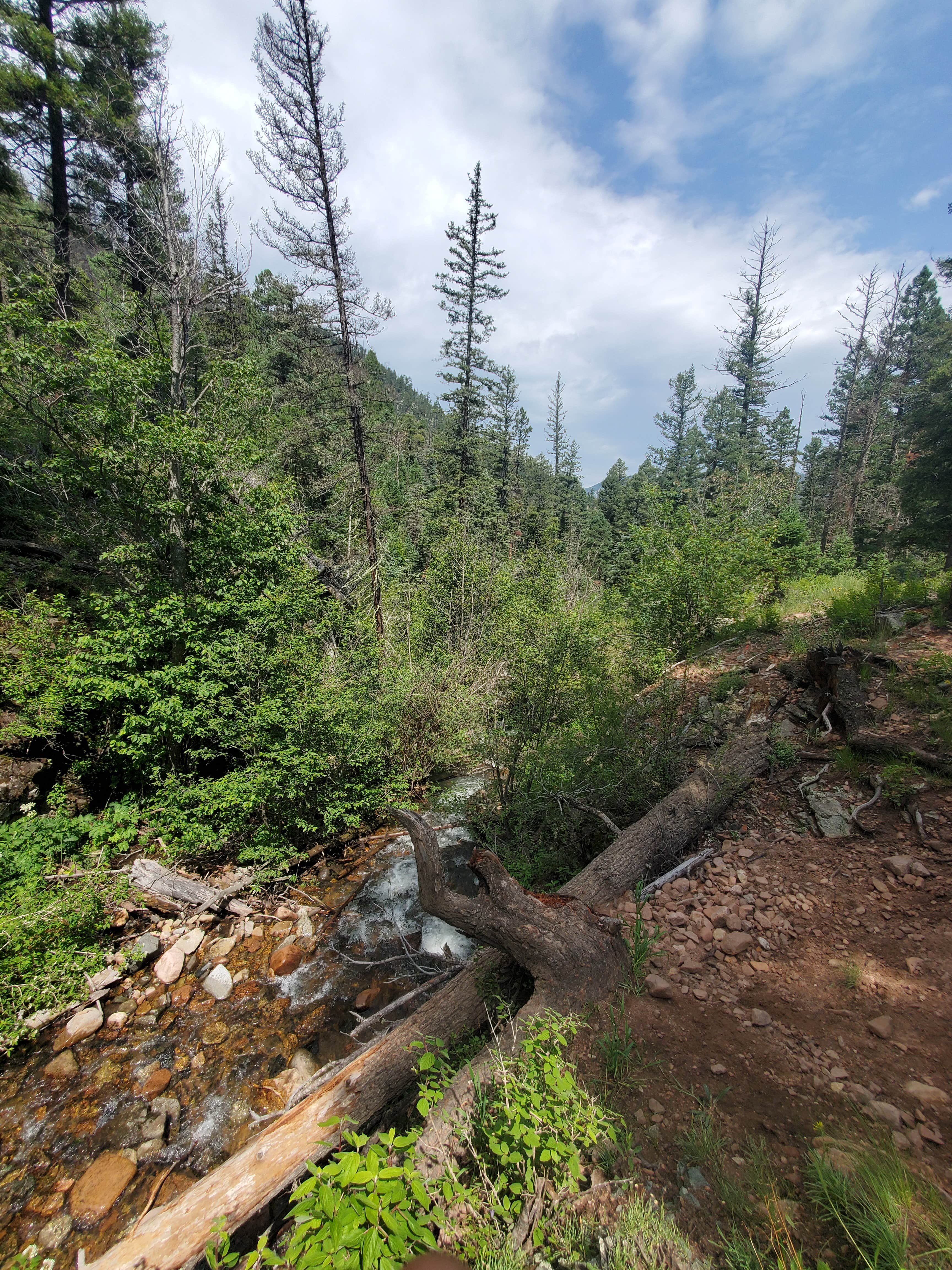 Escape to Enchantment: Unveiling the Magic of Cimarron Canyon State Park