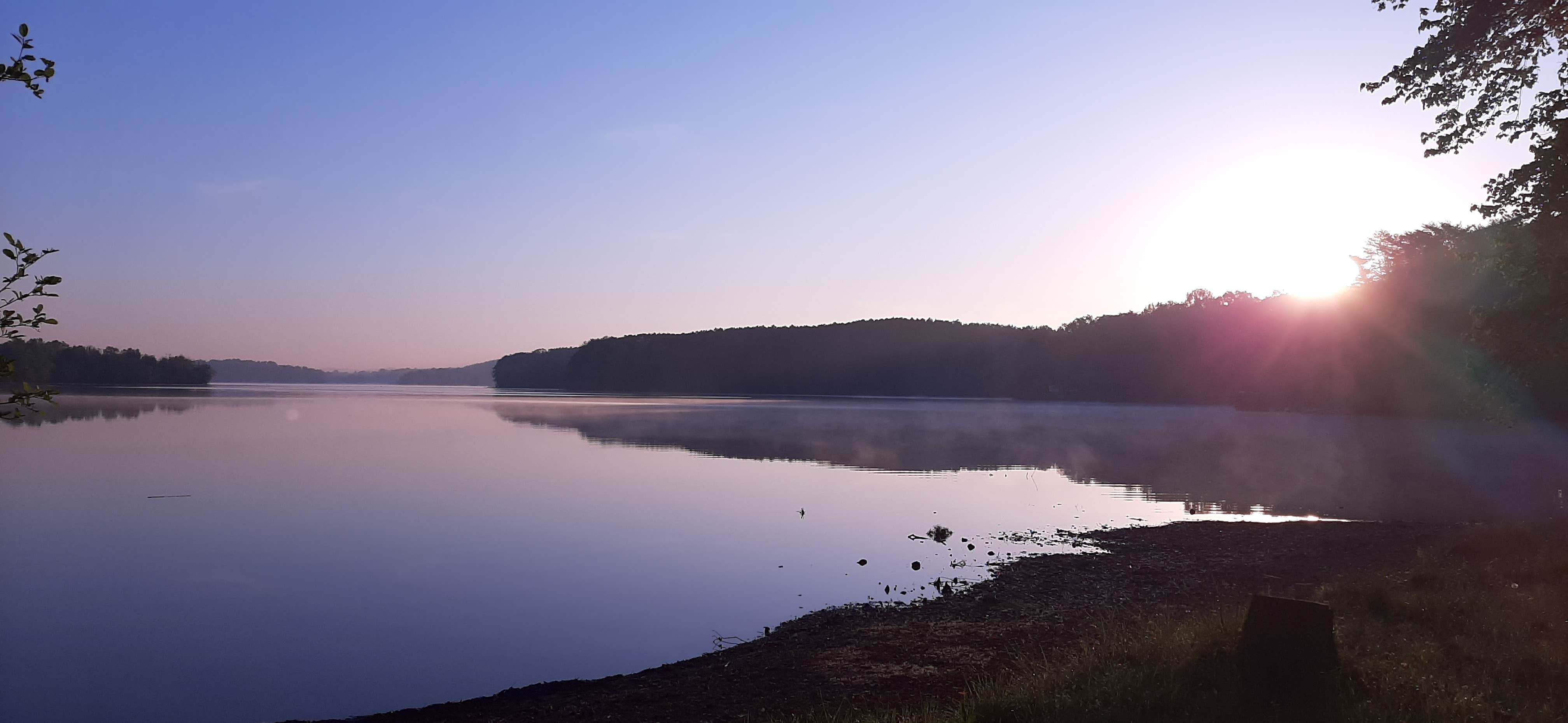 Camper submitted image from Jackson Island Dispersed Campground — Tennessee Valley Authority (TVA) - 3