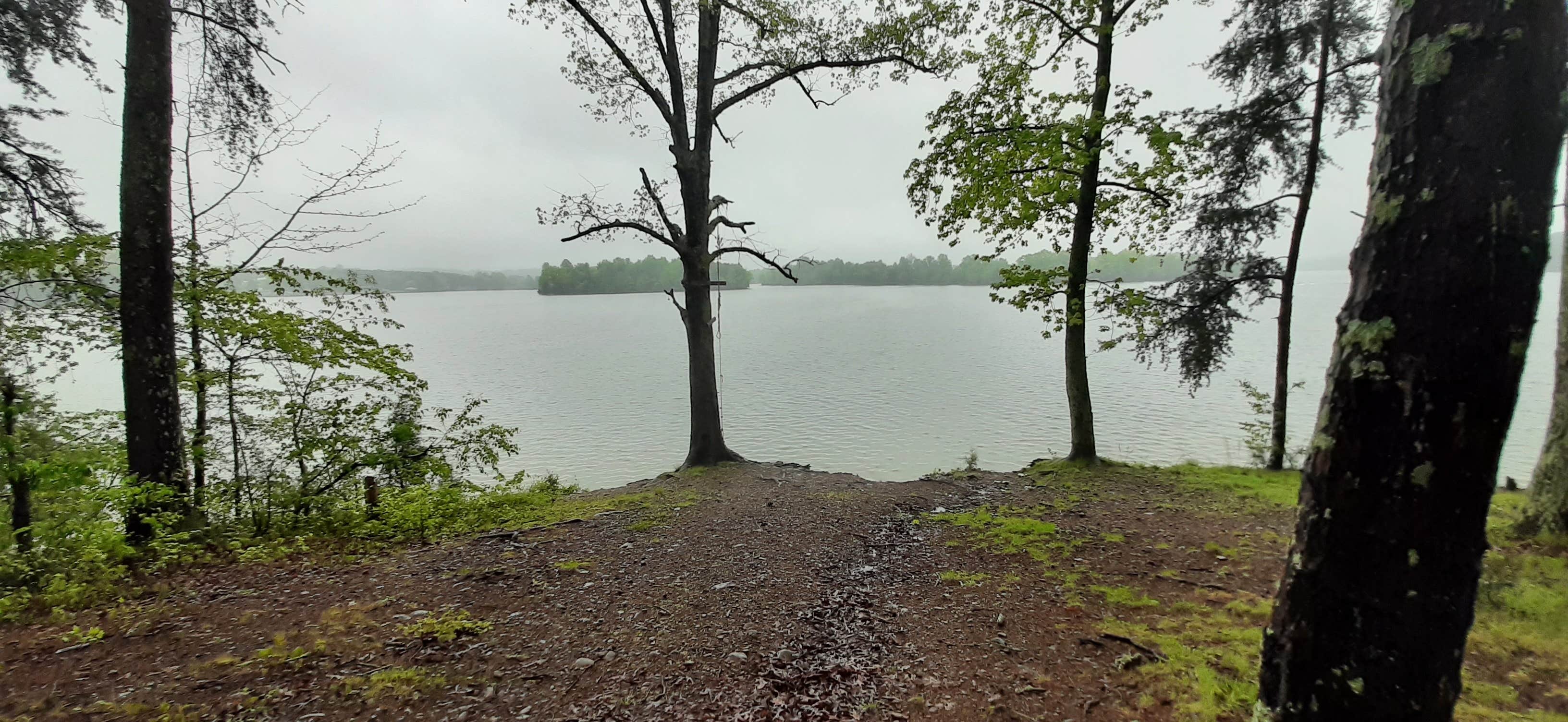 Camper submitted image from Jackson Island Dispersed Campground — Tennessee Valley Authority (TVA) - 4