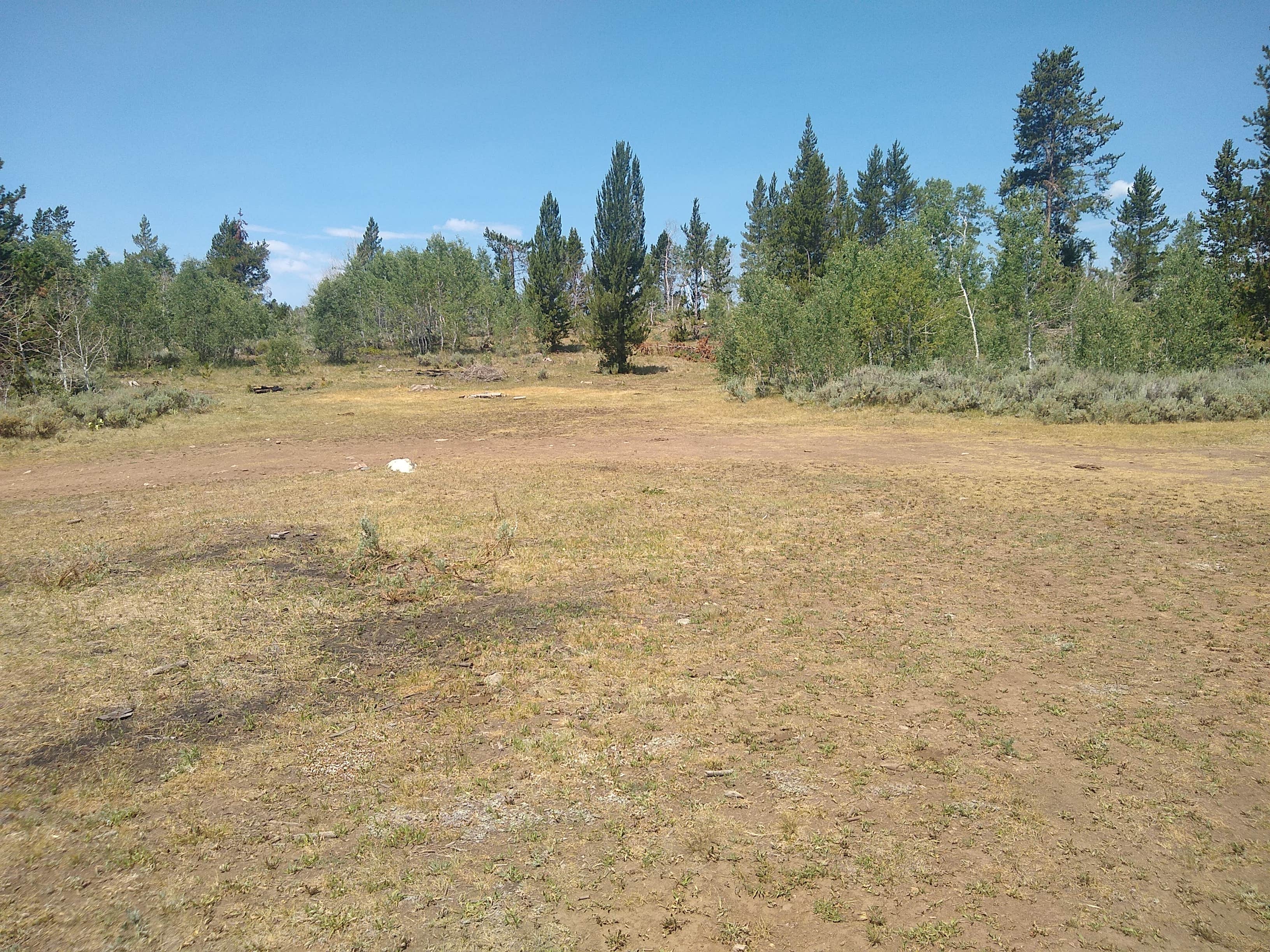 Kelly Park FS Rd 747 Dispersed Camping Pinedale, WY