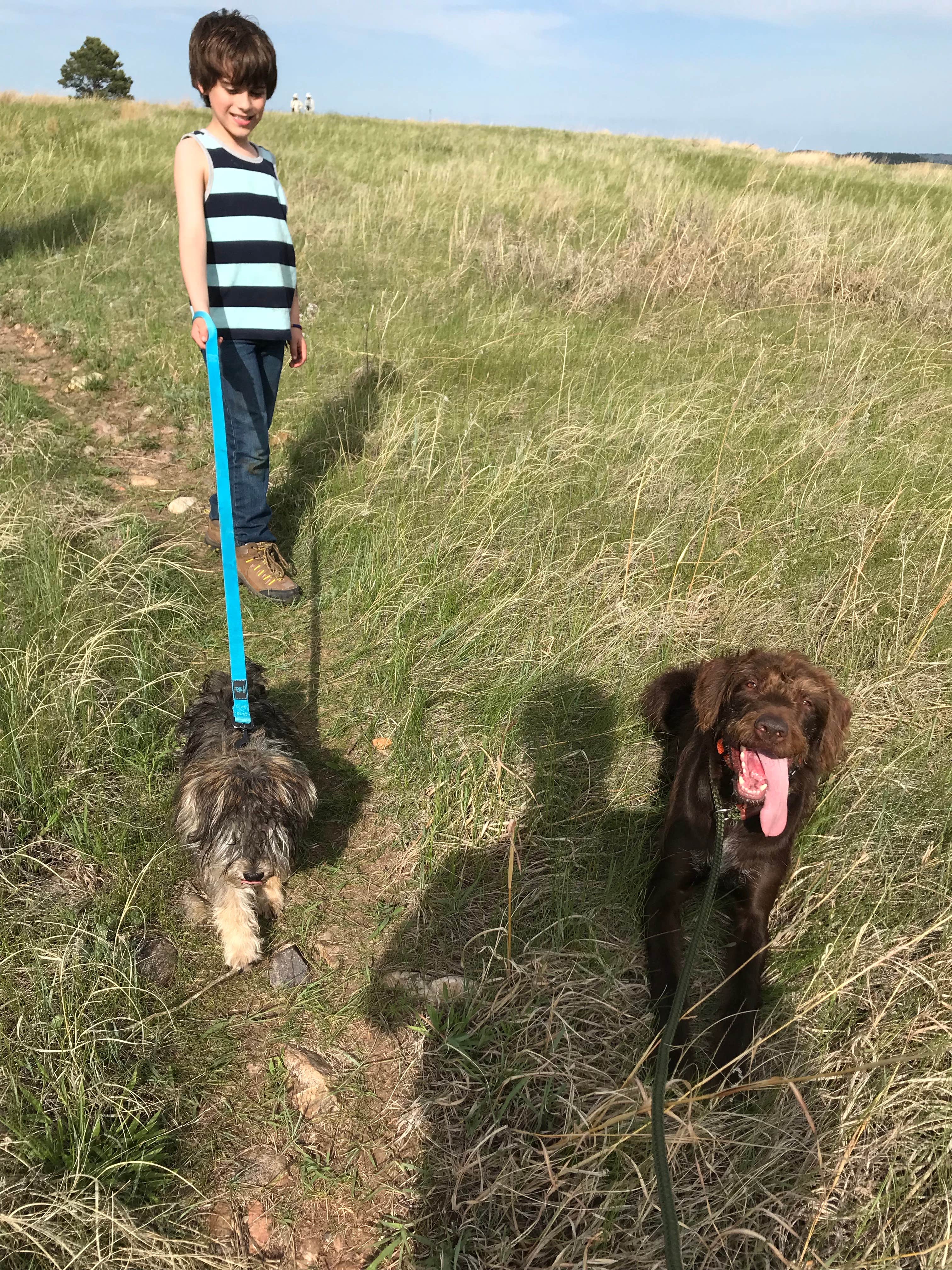 Erik J.'s photo of camping with pets at Elk Mountain Campground — Wind Cave National Park near Buffalo Gap, SD