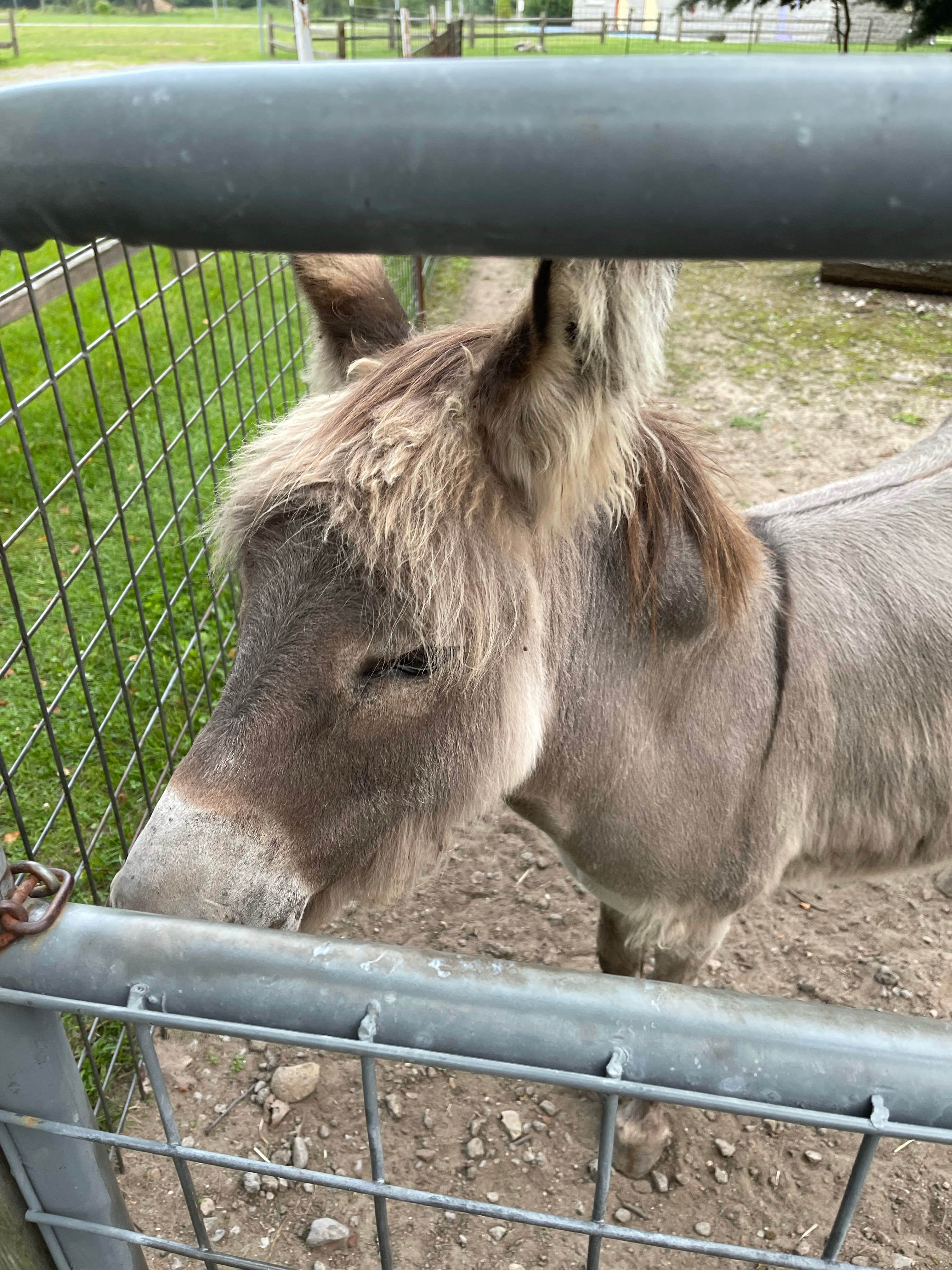 Camper-submitted photo at Elkhart RV Resort near Niles, MI
