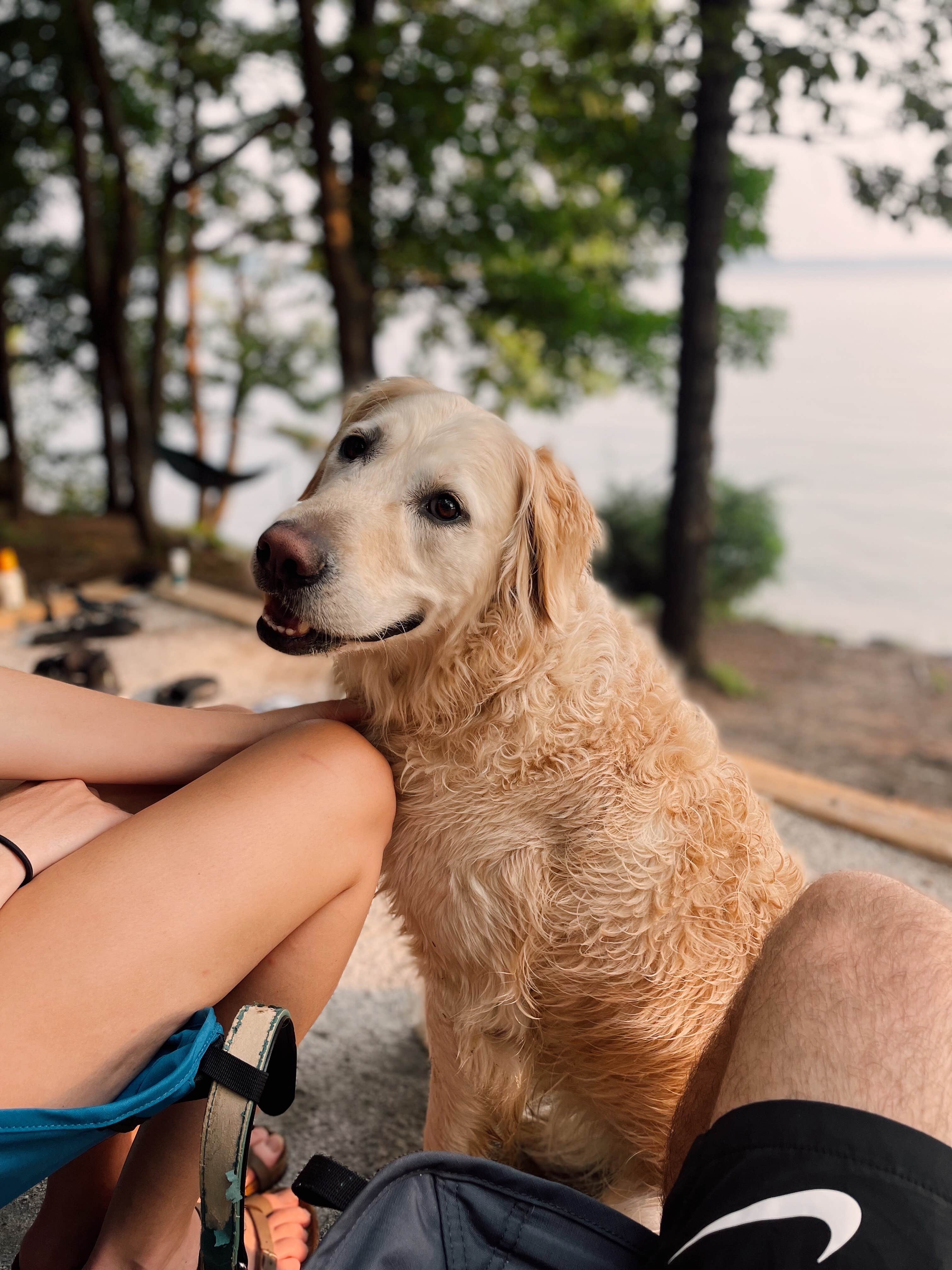 Kaila M.'s photo of camping with pets at Dreher Island State Park Campground near West Columbia, SC