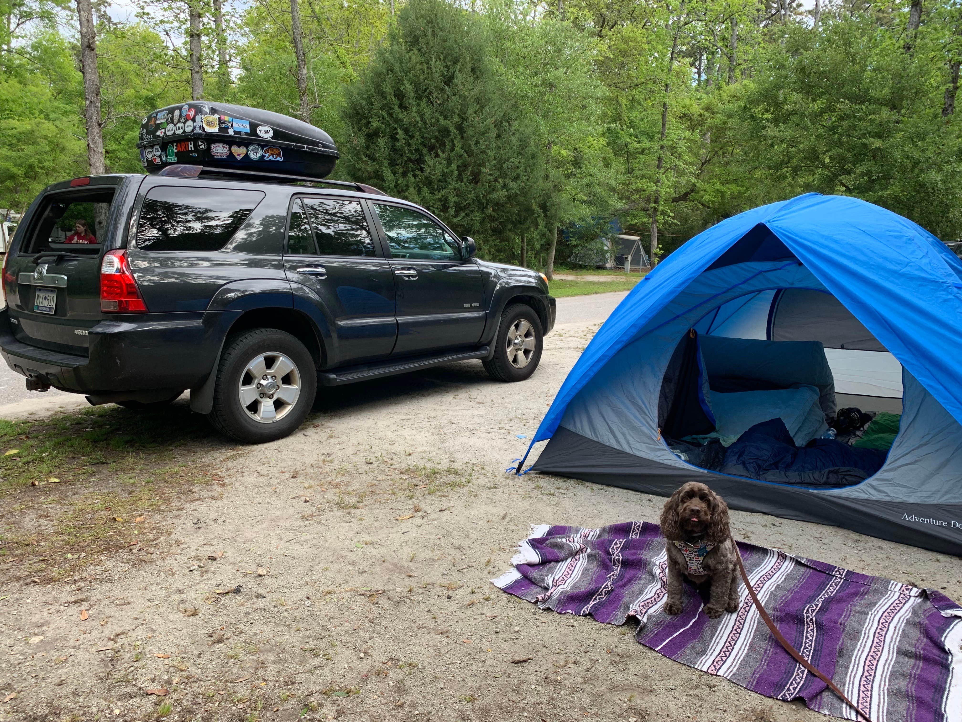 Jackie F.'s photo at Myrtle Beach State Park Campground near Myrtle Beach, SC