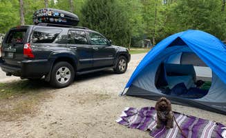 Jackie F.'s photo at Myrtle Beach State Park Campground near Georgetown, SC