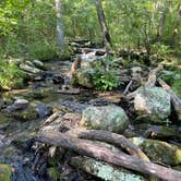 Review photo of Dam Site Campground by Yondering R., July 23, 2021