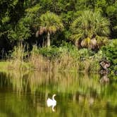 Review photo of Easterlin Park Campground by JEFFREY W., July 23, 2021