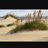 Review photo of Ocracoke Campground — Cape Hatteras National Seashore by Benjamin K., July 18, 2016