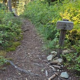 Review photo of Lena Lake Campground by Paula G., July 23, 2021