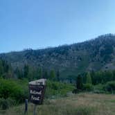 Review photo of Dispersed camping along Cliff Creek in Bridger-Teton National Forest by Kate R., July 9, 2021