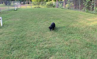 Steve D.'s photo of camping with pets at Kountry Air RV Park near Selma, AL