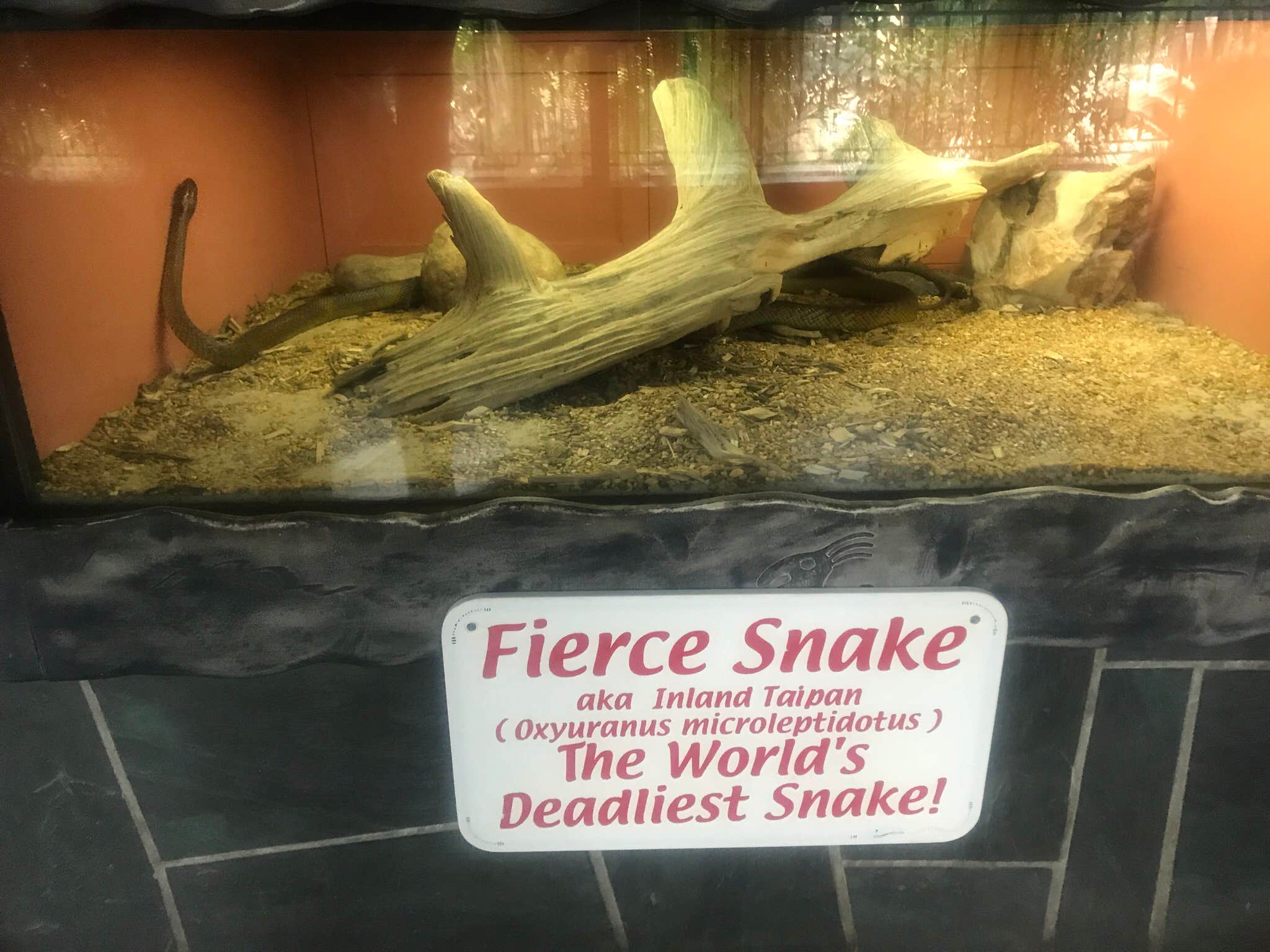 Camper-submitted photo at HTR Black Hills near Piedmont, SD