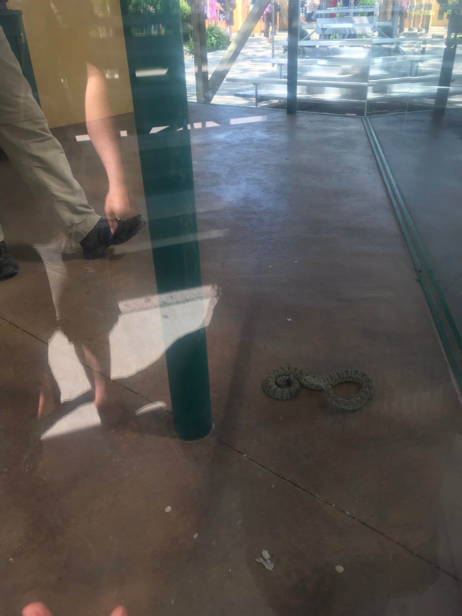 Camper-submitted photo at HTR Black Hills near Piedmont, SD