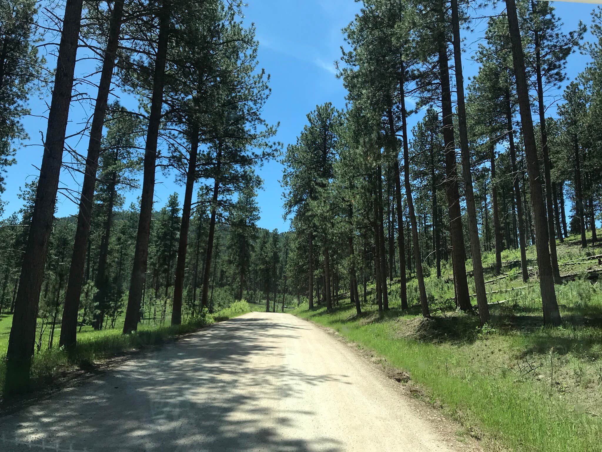 Camper submitted image from Sheridan Lake South Shore Campground - 4