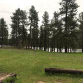 Review photo of Sheridan Lake South Shore Campground by Erik J., June 15, 2018