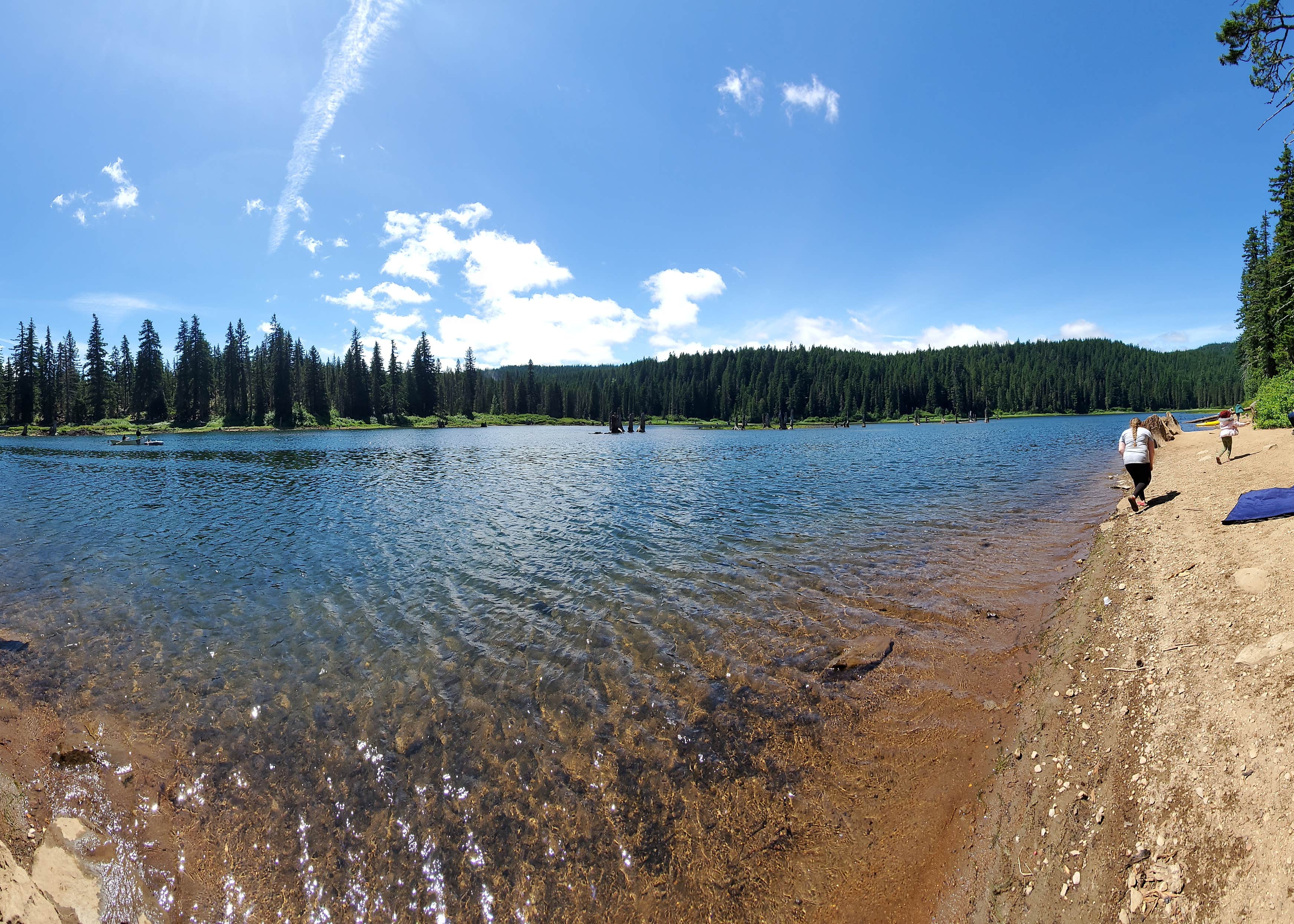 Gifford Pinchot National Forest Cultus Creek Campground Camping The Dyrt